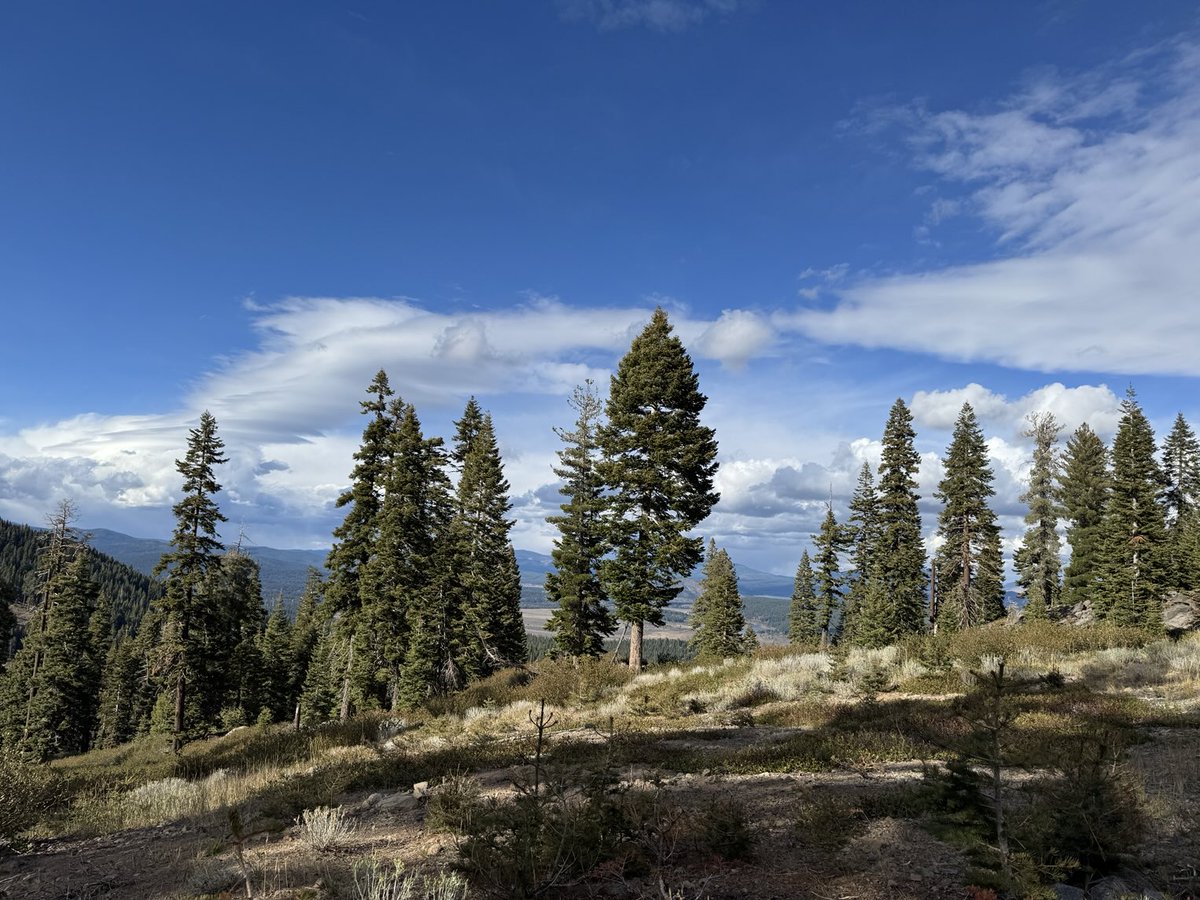 Michael Wang, MD tweet media