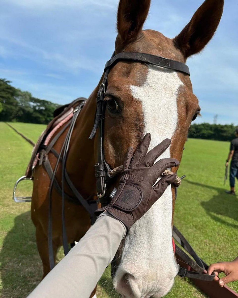 MeiSf3's tweet image. A moment of trust and calm 🐴☀️

#HorseLover #EquestrianLife #NatureVibes #RidingDay