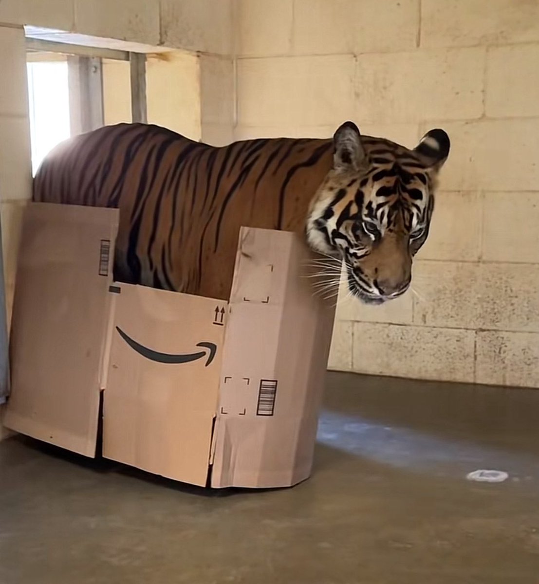 Hailee ♡ tweet media