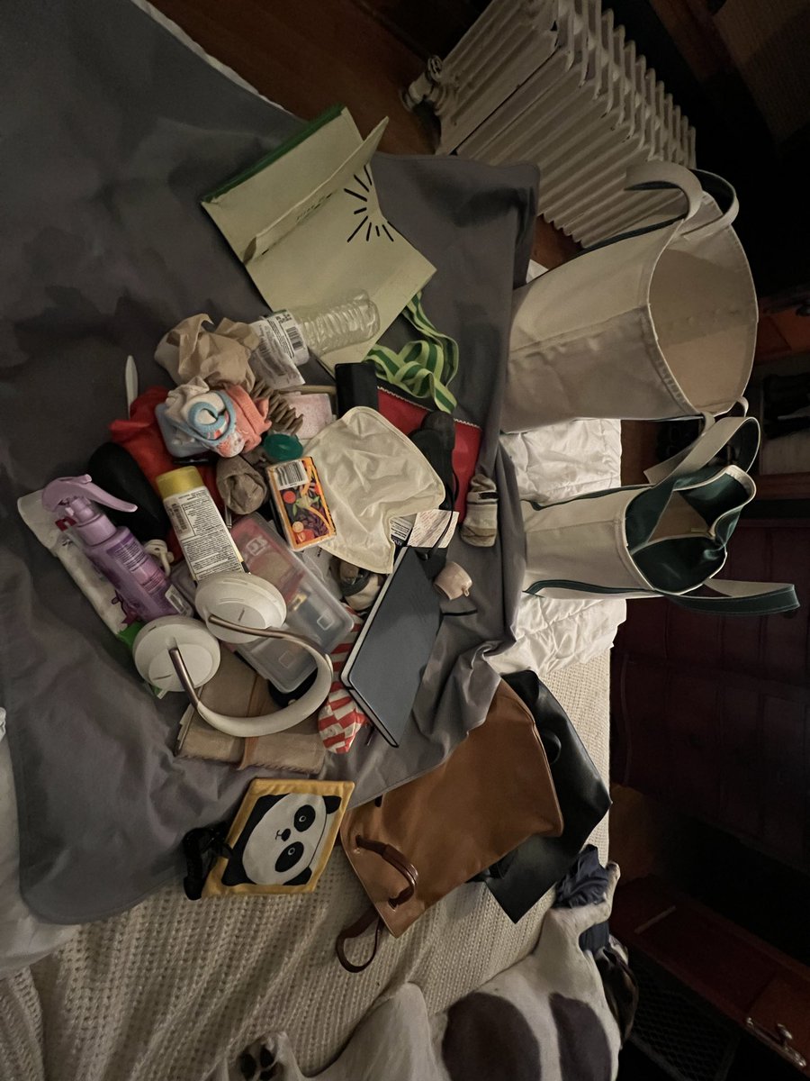 Dumps out XL boat and tote. Finds:

Another tote
A backpack
1 pair sun glasses 
2 pairs of headphones
2 empty glasses cases
2 pacifiers
3 hair clips
3 items to return
3 pens
4 pouches of goodies
6 pairs of drips socks
Endless other things