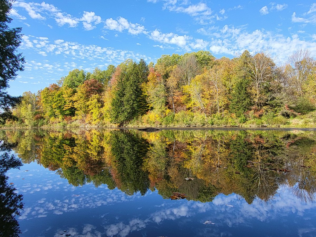 WizzzDom (@dombeaud22) on Twitter photo 