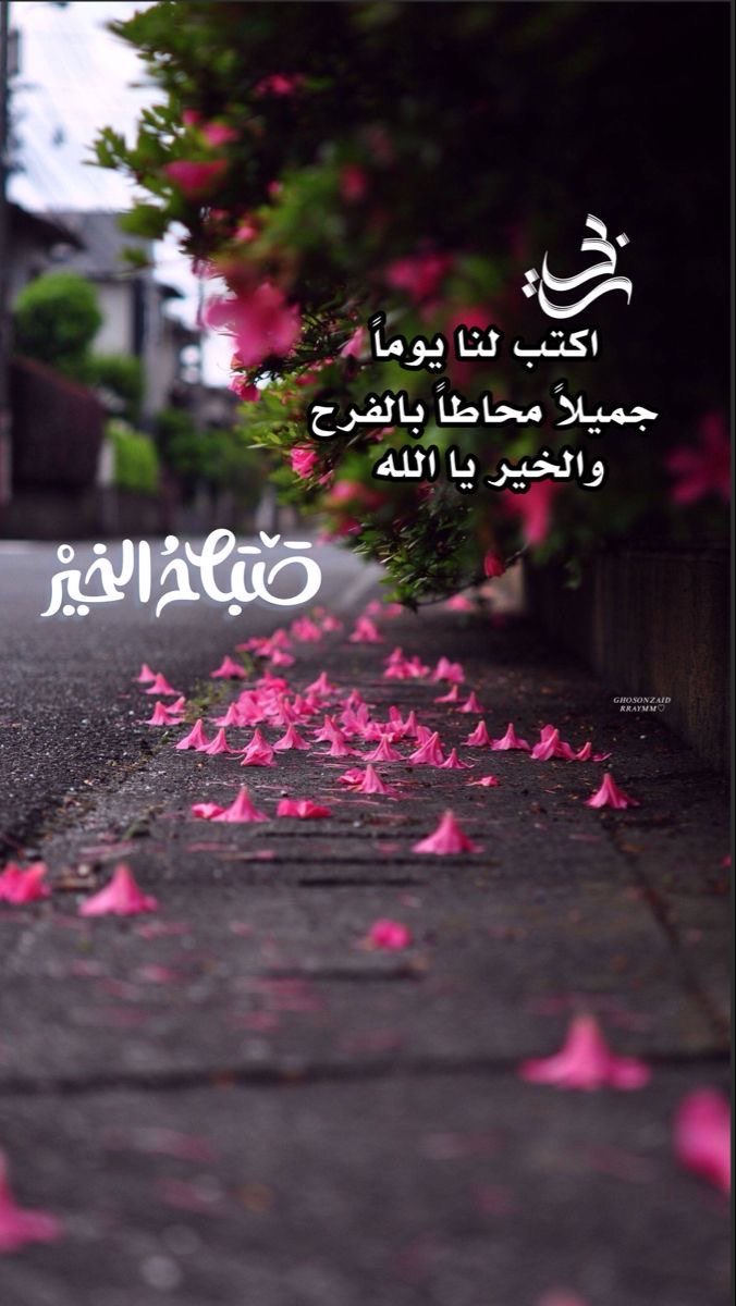 aD_h25's tweet image. اللهم لا تجعل لنا جرحاً إلا لئمته 
           ولا كسراً إلا جبرته ولا ألماً إلا سكّنْتَه 
ولا وجعاً إلا أبرئته 
     ولا ضُرّاً إلا كشفته ولا حزناً إلا أذهبته.. 
 يارب أذهِب الداء وأنزل الشفاء واستجب الدعاء

#امين-يارب🤲