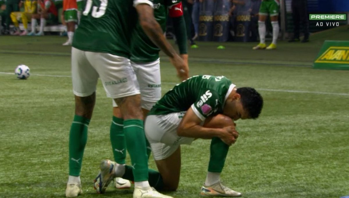 O time inteiro do Palmeiras - incluindo banco de reservas - foi abraçar Bruno Rodrigues após o gol. 

Foda ver a recuperação do ser humano depois de 598 dias parado por lesões gravíssimas! 

O futebol é um negócio incrível.