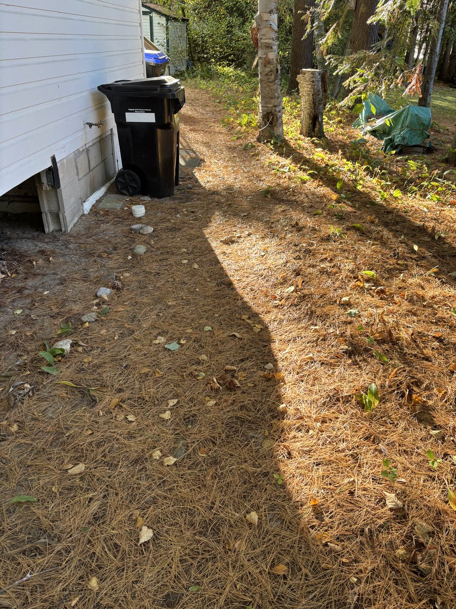 kats_clicks's tweet image. Why do we bother raking? 
24 hours later and it looks like I did nothing. I’m trying to look at it as glass half full and that at least I got some good exercise. 

Next more important task: get pine needles out of eavestroughs.
#yardwork #cottagelife