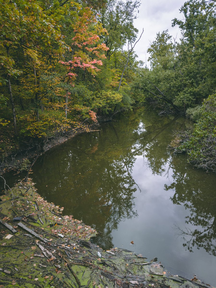 A Window Beyond the Bridge