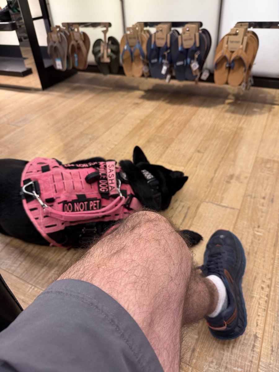 ReeveSwainston's tweet image. Even shoe shopping. Everywhere and always . . .