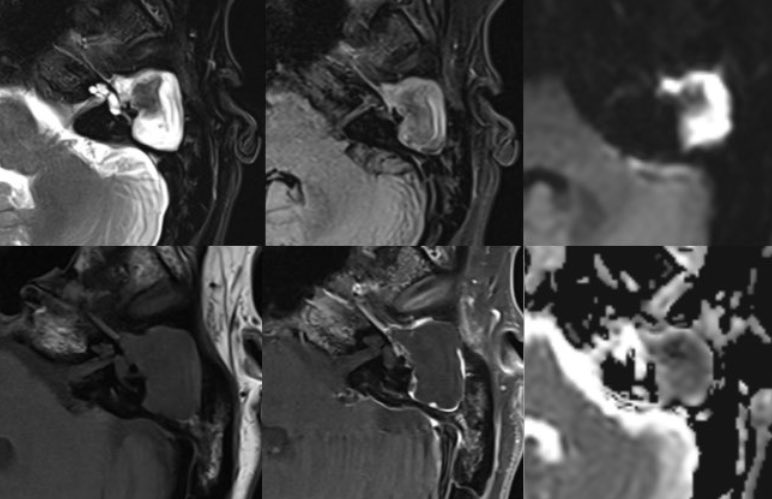 Daniel Gewolb, MD tweet media