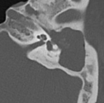 Daniel Gewolb, MD tweet media