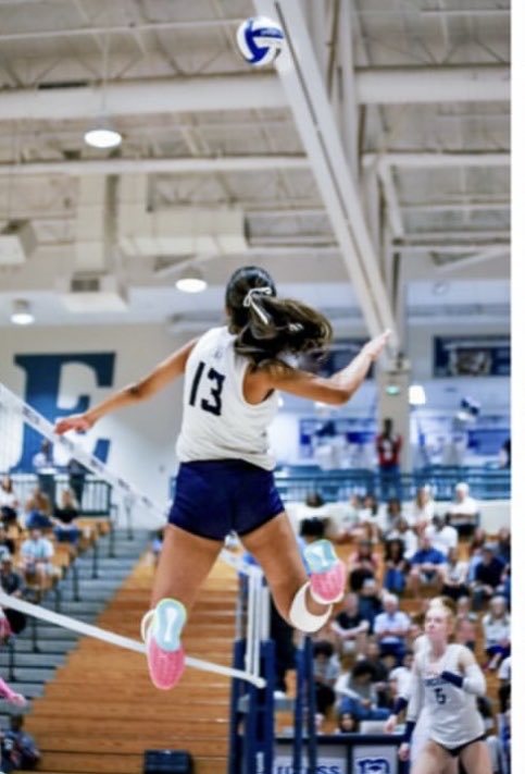 Norcross Volleyball tweet media