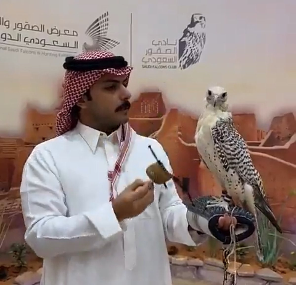 Ash9an's tweet image. مِسك الخـتام للحدث الأضخم والصرح الأكـبر بحُضور الإعلامي والمـؤثر  سلطان بن نايف اللي يقول الطيـر حـرٍ على كف 
الحر والله اللي على كفه الطيـر🩵🤍
#سلطان_بن_نايف #معرض_الصقور_والصيد_السعودي_الدولي
