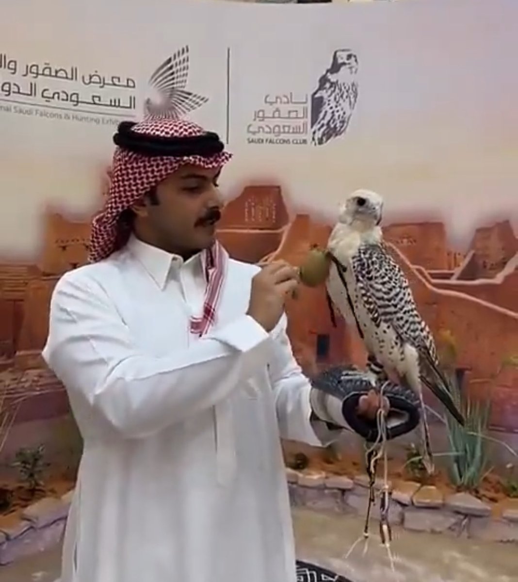 Ash9an's tweet image. مِسك الخـتام للحدث الأضخم والصرح الأكـبر بحُضور الإعلامي والمـؤثر  سلطان بن نايف اللي يقول الطيـر حـرٍ على كف 
الحر والله اللي على كفه الطيـر🩵🤍
#سلطان_بن_نايف #معرض_الصقور_والصيد_السعودي_الدولي