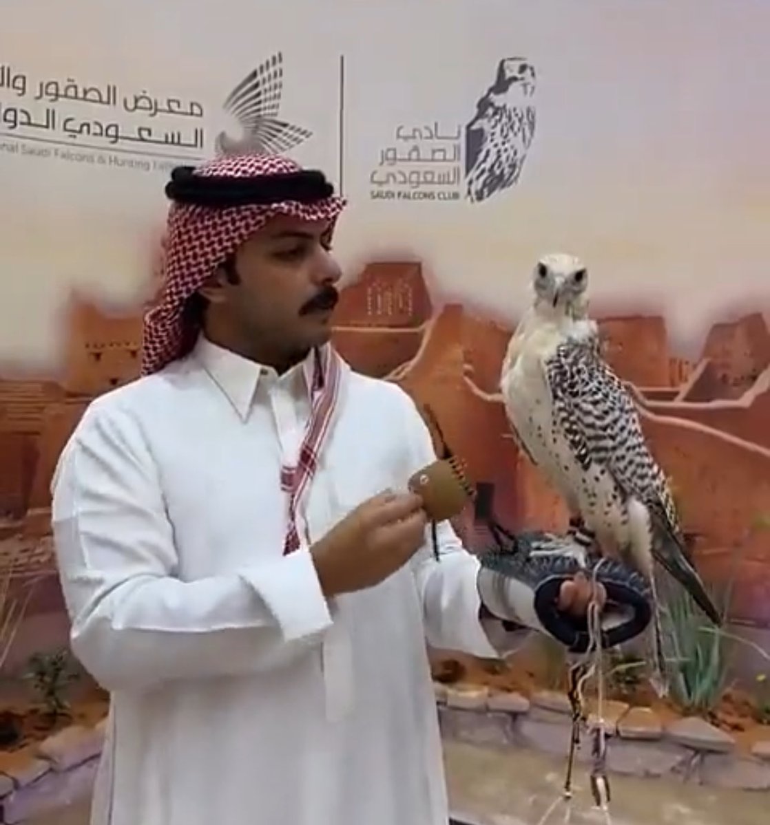 Ash9an's tweet image. مِسك الخـتام للحدث الأضخم والصرح الأكـبر بحُضور الإعلامي والمـؤثر  سلطان بن نايف اللي يقول الطيـر حـرٍ على كف 
الحر والله اللي على كفه الطيـر🩵🤍
#سلطان_بن_نايف #معرض_الصقور_والصيد_السعودي_الدولي