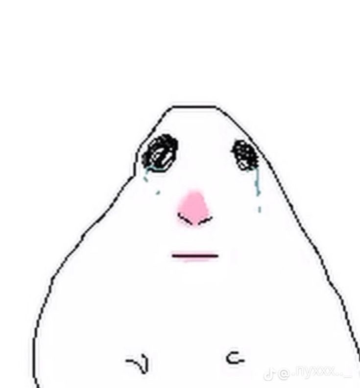 hia* ❚ ݁ 𝗕┈ᵘ͜𝐑N ﹒˖ tweet media