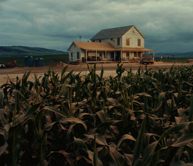 TheCinesthetic's tweet photo. Interstellar (2014) dir. Christopher Nolan https://t.co/UDTocoYpDt