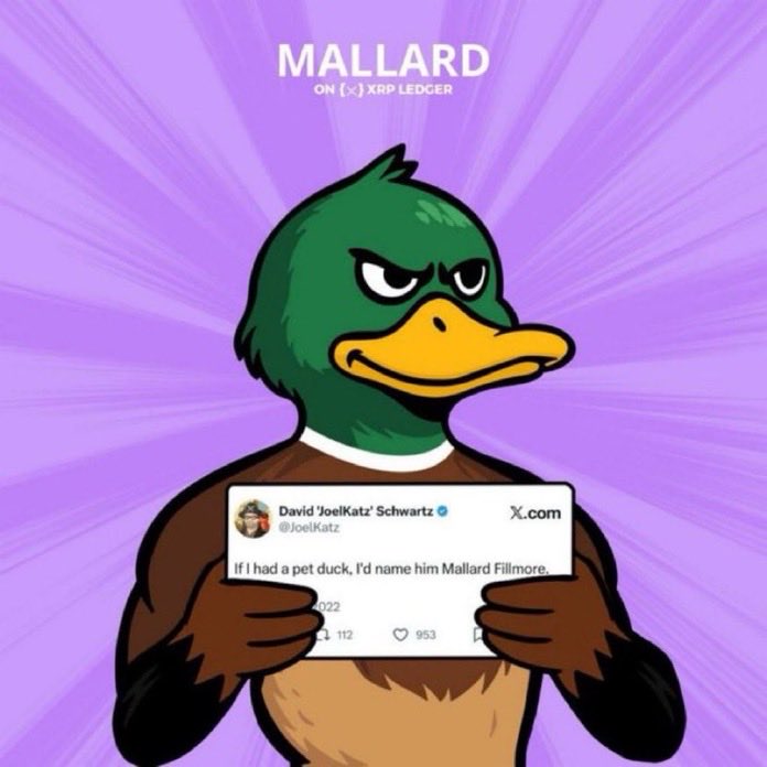Brett_Crypto_X's tweet image. Bro, check out @MallardXRP the fastest-growing meme on #XRPL 🦆
Shoutout to the Fuzzy fam nothing but respect for the OGs.
Mallard’s got elite vibes, daily spaces, top-tier memes, and a narrative that just quacks different.
Even @JoelKatz’s pet duck would be called Mallard…
