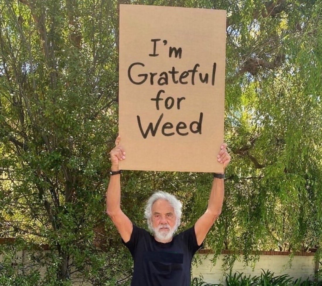 stonersvilla's tweet image. 
