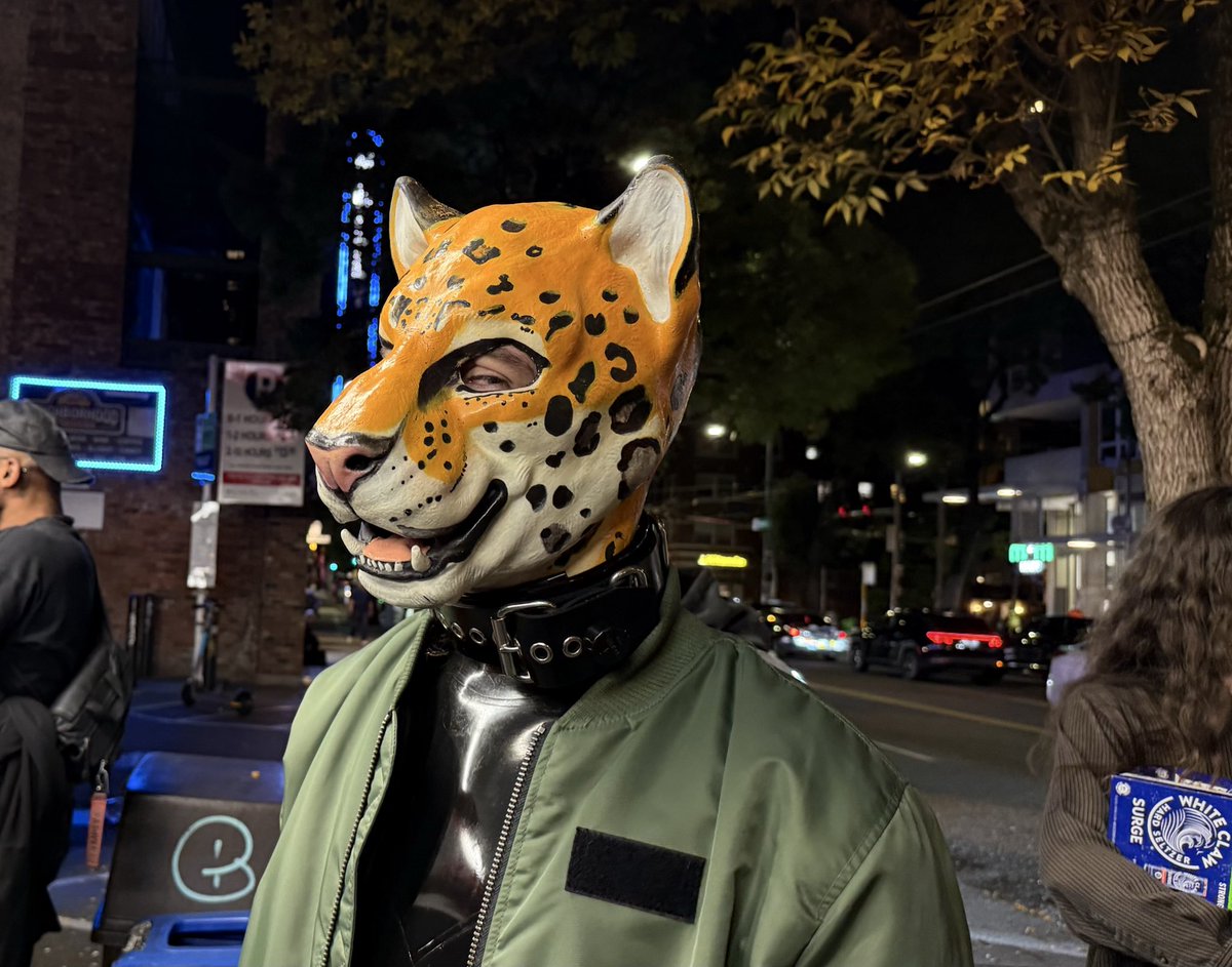 “You want just a cheeseburger or a deluxe meow?” 
📸 <a href="/HansFaffing/">Hans, Faffing</a>