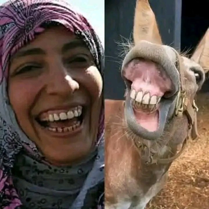 mmdljrmy51937's tweet image. يخلق من الشبه اثنين 
هذه العاهرة دمرت شعب وغادرت تاركة وراءها جوع وحصار وتمزق وقتل وتعذيب وسجون نامت على فراش السفير الأمريكي فحملت منه وولدت آلاف المرتزقة والعملاء