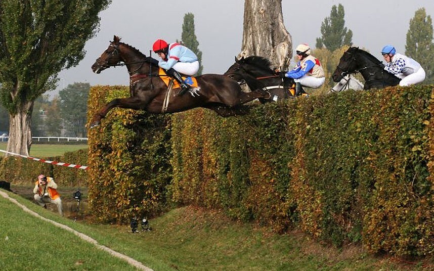 JakeRuss1000's tweet image. Good luck to Stumptown in the Velká Pardubická in Czech tomorrow, the worlds most toughest race! 🏆

@gavincromwell1 | #HorseRacing