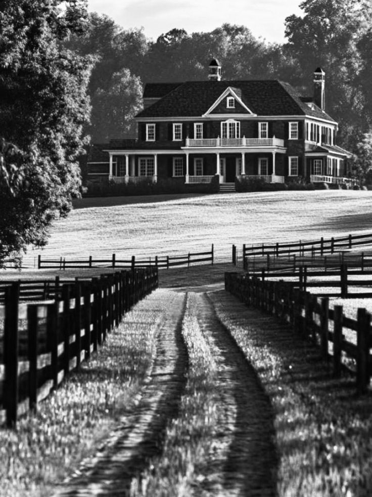 ☻ — 𝐘𝐨𝐮𝐫 𝐜𝐡𝐚𝐨𝐭𝐢𝐜 𝐟𝐚𝐦𝐢𝐥𝐲 ! tweet media