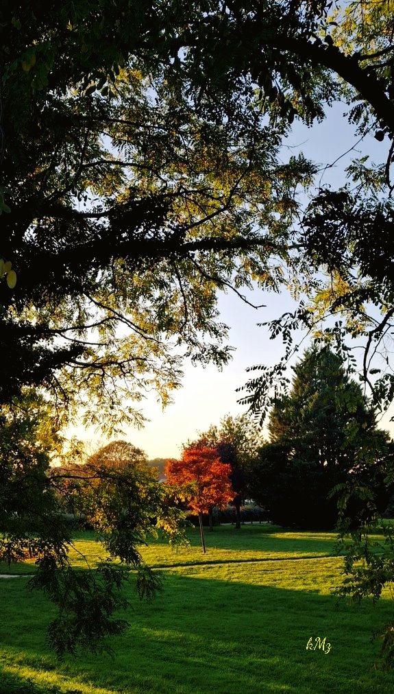 Saturday walk 🌳🍁🏞️🦆. Good evening my friends 🕯️✨ then have a relaxing Sunday 😊🌿🌞 #WeekendVibes #NatureLovers #goodEvening #StormHour