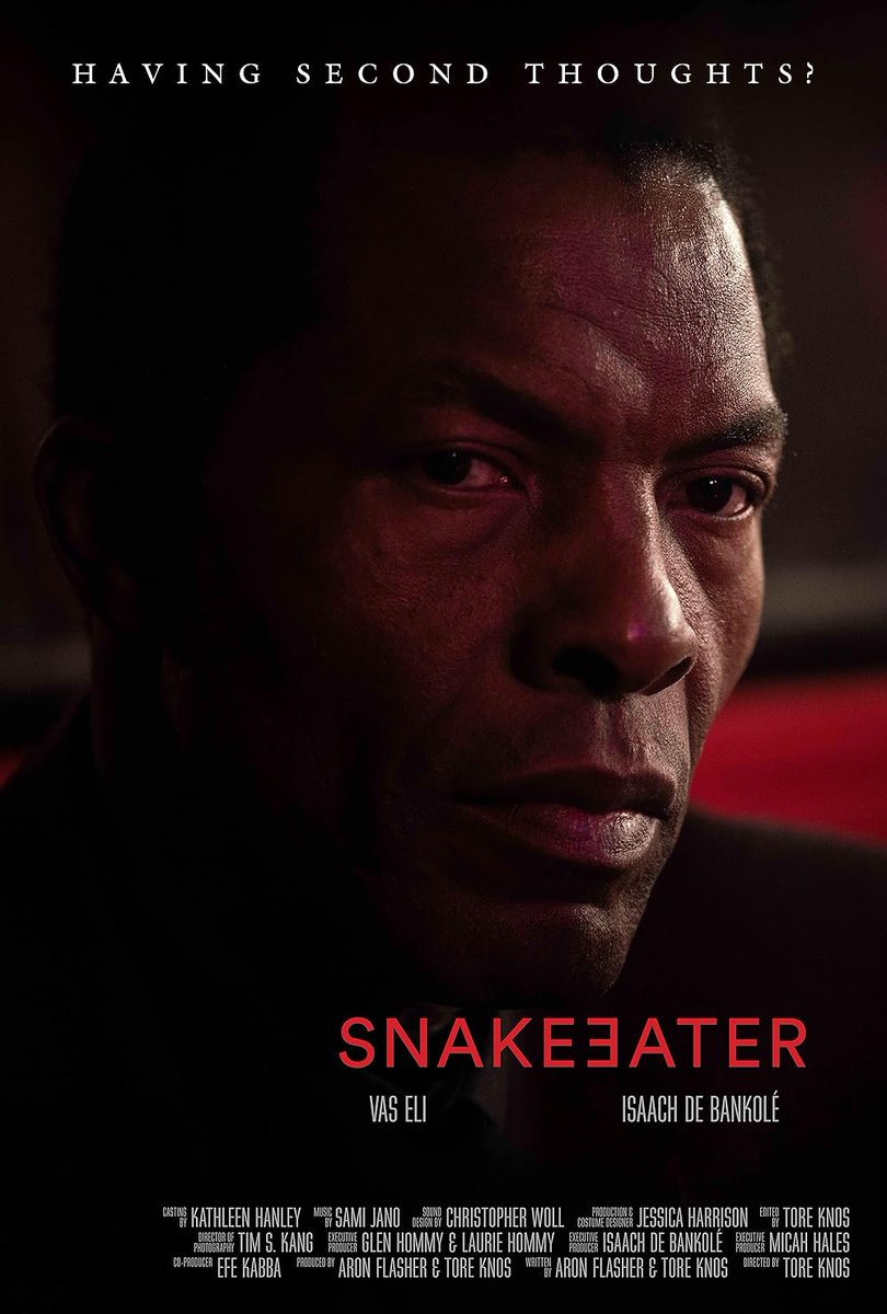 Snakeeater, 2024
Niestraszny horror.
Prywatny detektyw otrzymuje zlecenie na odnalezienie człowieka, który sfingował swoją śmierć. 
Na plus: bardzo ponury vibe, nowoczesny film noir, dziwaczność
Na minus: raczej przewidywalny, a resztą nie nadrabia. 
Taki sobie