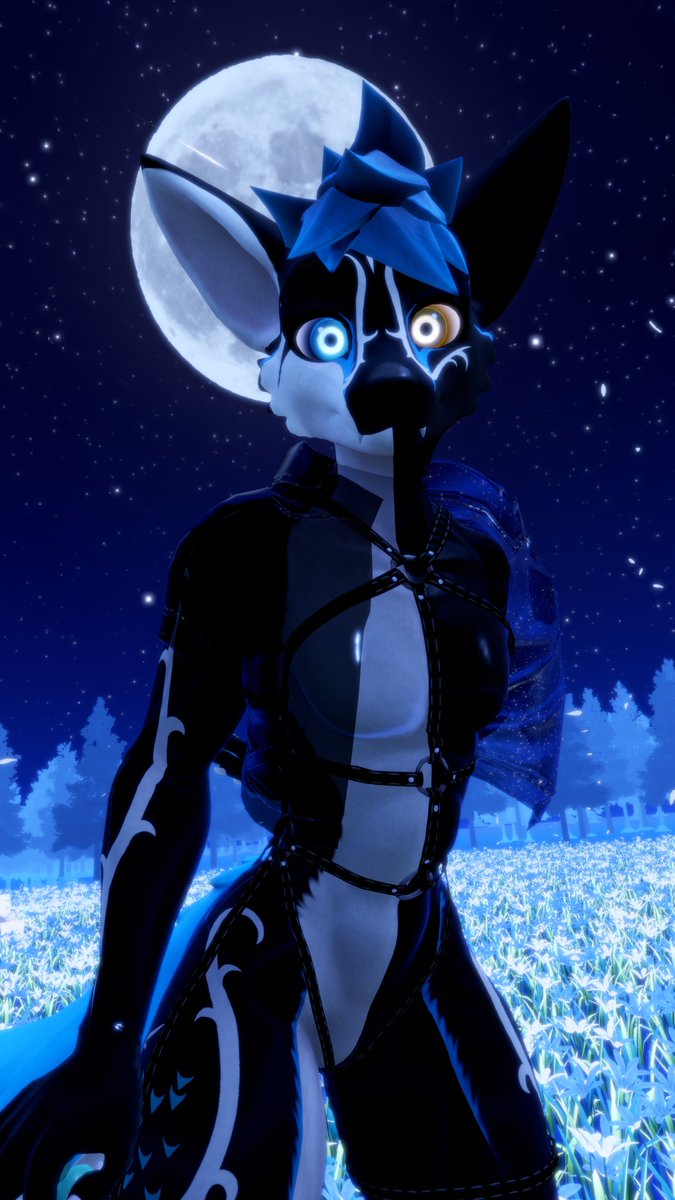 Is that a full moon?🌕

twitch.tv/snoweyvr