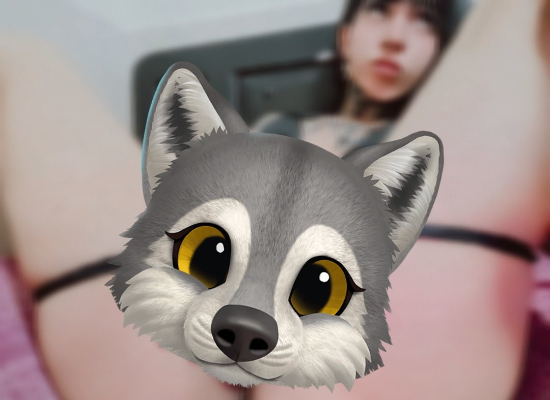Jazmin_wolf0's tweet photo. Have a nice Saturday, little wolves 🐺👀
https://t.co/dfnkzK0adS https://t.co/SfLUTfShEr