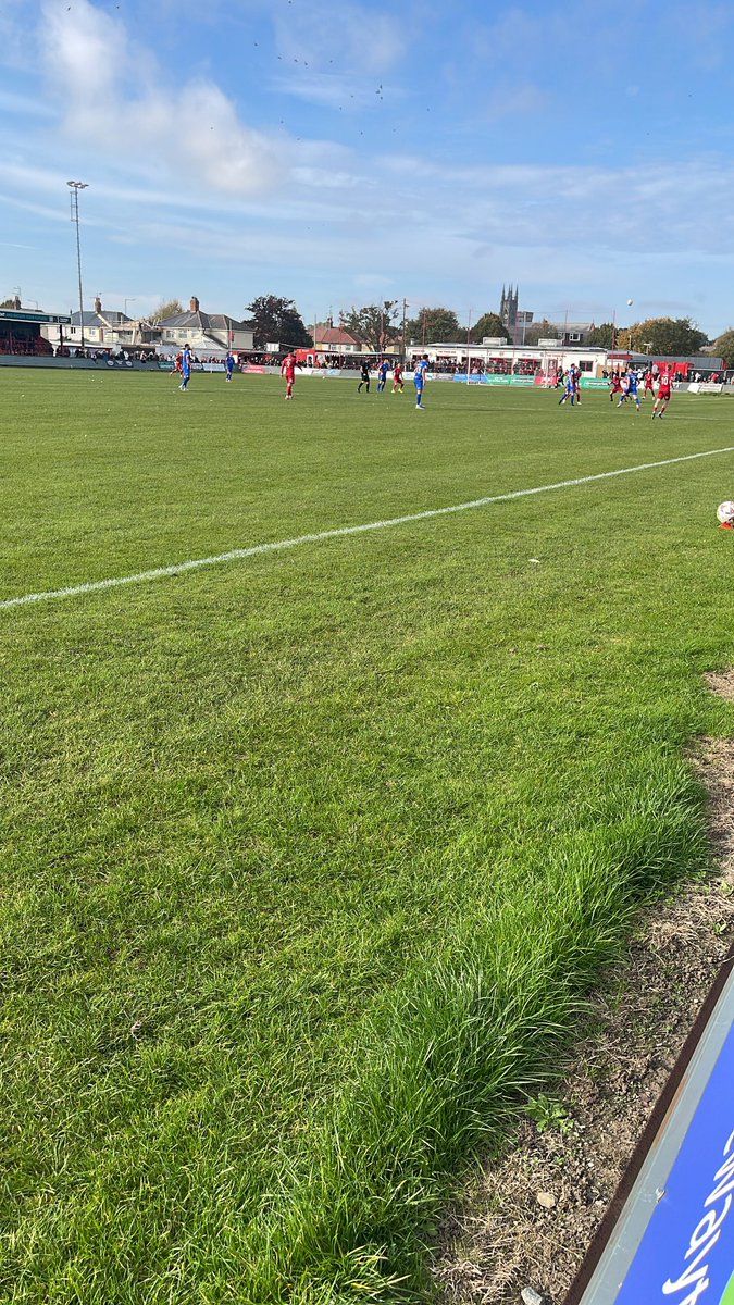 David Bell tweet media