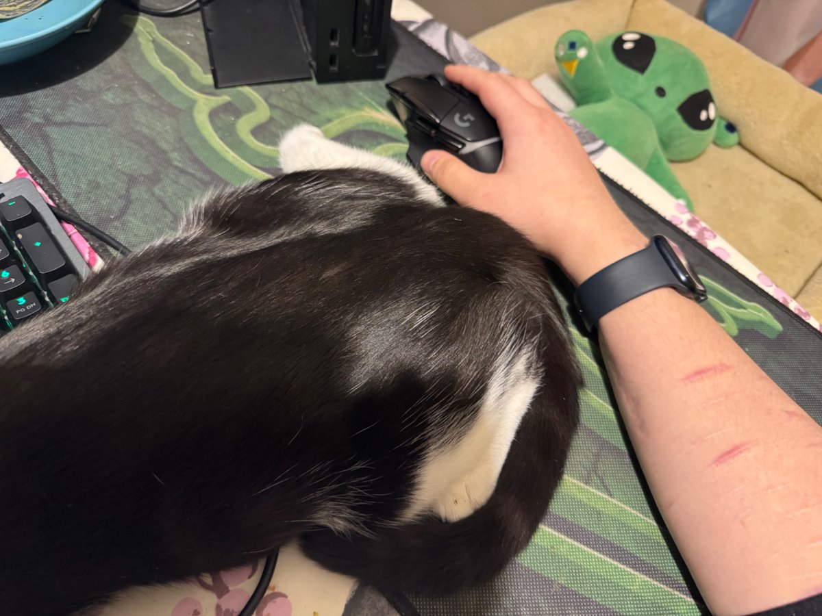 get your fat ass out of the way I'm trying to game