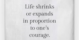 Afternoon folks 👊