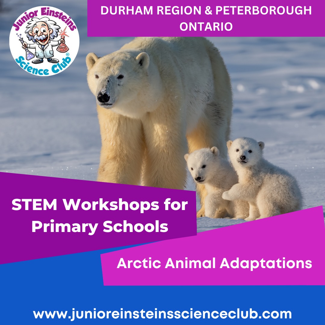 JEontario's tweet image. School Science Shows and STEM Workshops Something different for your &apos;Junior Einsteins&apos;. 

#scienceweek #schoolevent #junioreinsteins #kids #schools #teachers #STEM #science 
#DurhamRegionEvents #OshawaEvents #PeterboroughOntario #markhamontario 

@JuniorEinsteins
@JEontario