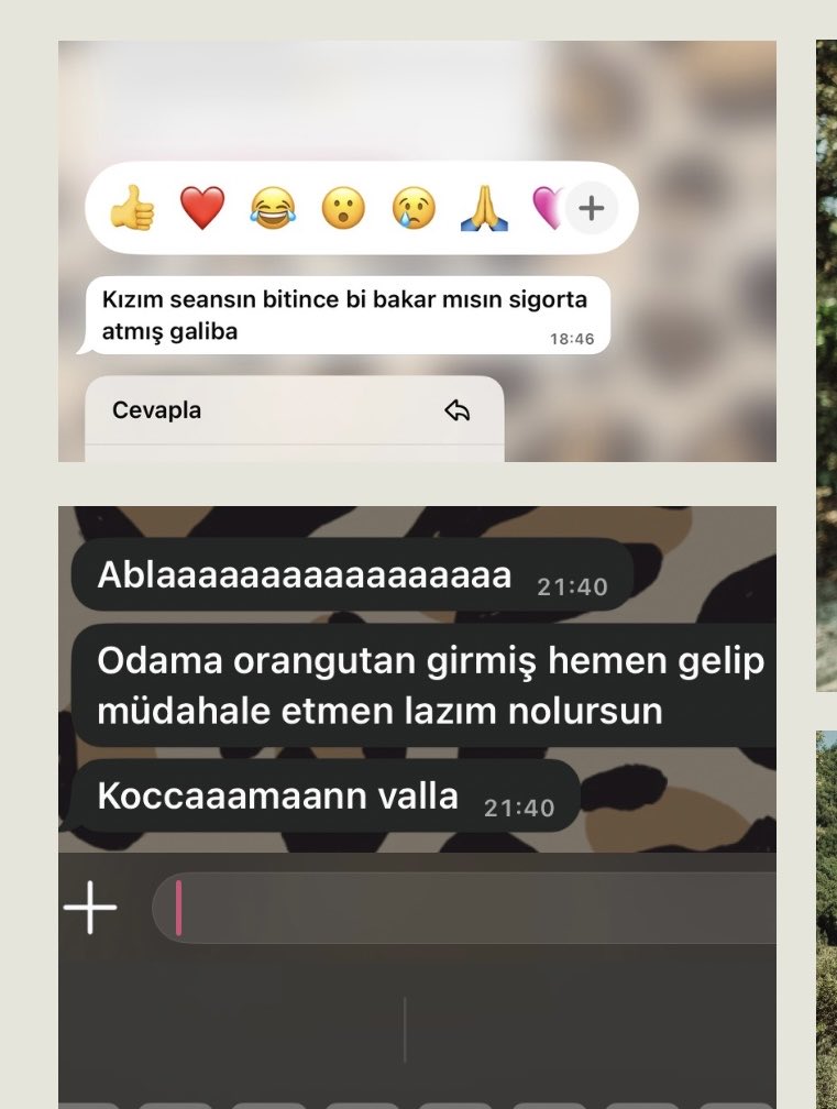 𓍼 (@zzehrabisakin) / Posts / X