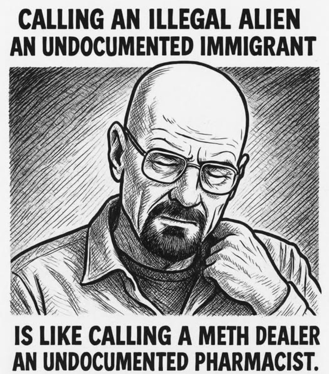 ILA_NewsX's tweet image. Deport them all.
