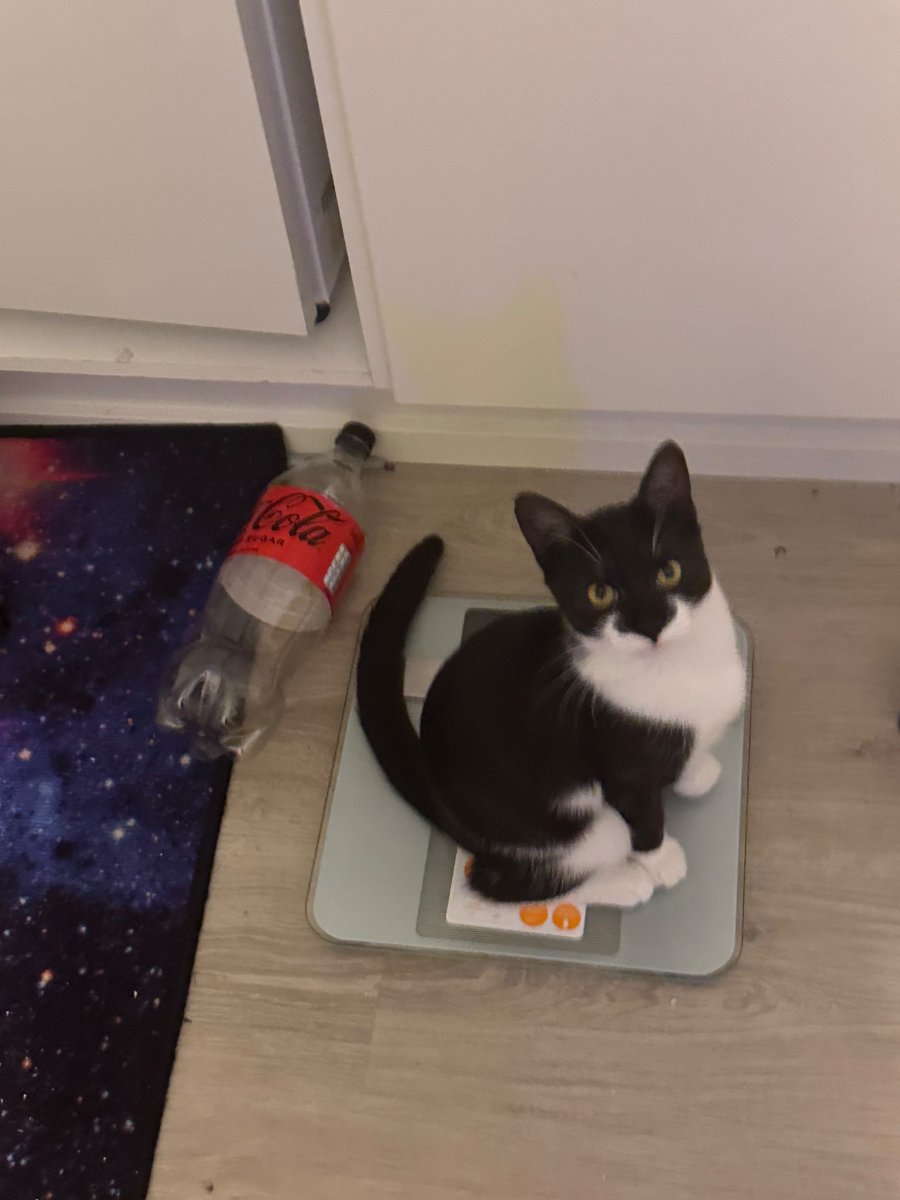 I'm sorry I didn't mean it like that you're perfect you don't need to watch your weight pablo