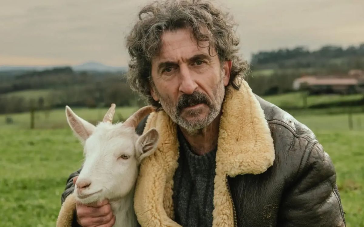 "Odio decir esto, pero la comedia española parece estar a años luz muy por delante de las deplorables comedias mexicanas. Los nueve capítulos quedan a deber de tan relajado que es el acento de toda la serie. ¿Habrá una segunda temporada? Espero que sí". Animal: ¿el doctor House