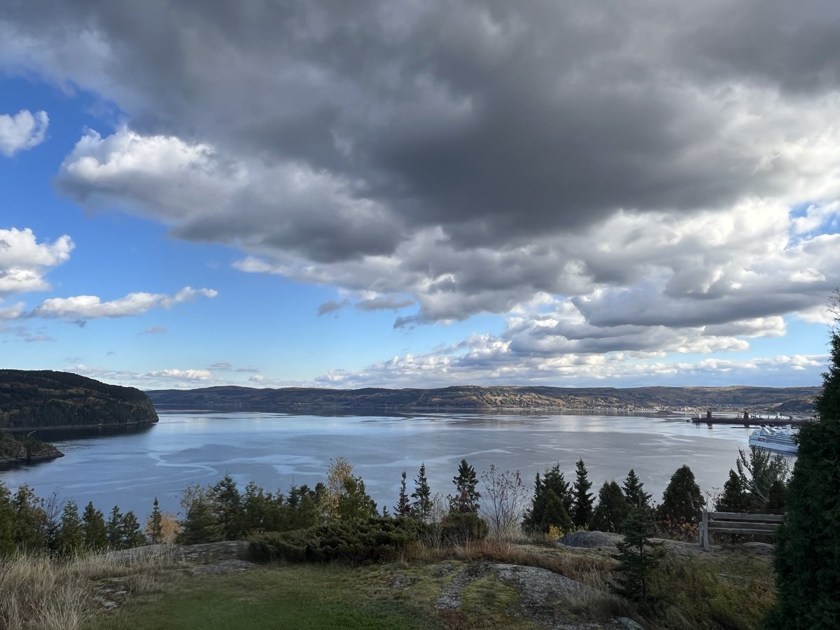 Un peu de beauté gratis 🤍