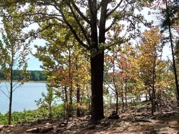 HiLyBlessed1's tweet photo. Wherever you go today... GO IN PEACE  #GoInPeace 🕊 https://t.co/cqPO9w0y71