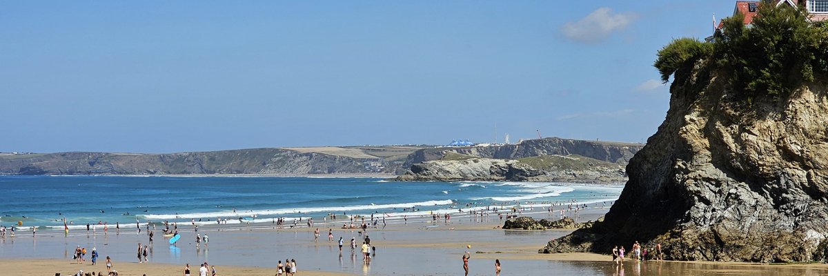 🐇👑 tweet media