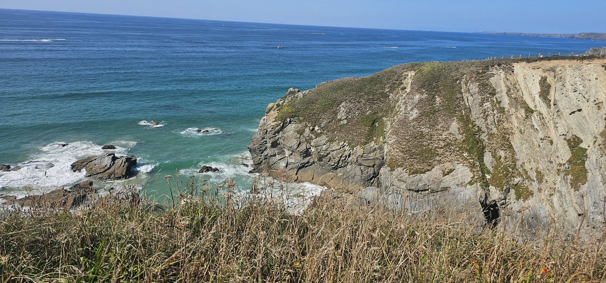 🐇👑 tweet media