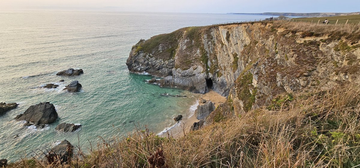 🐇👑 tweet media