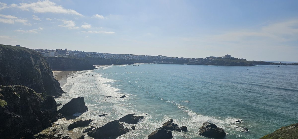 🐇👑 tweet media