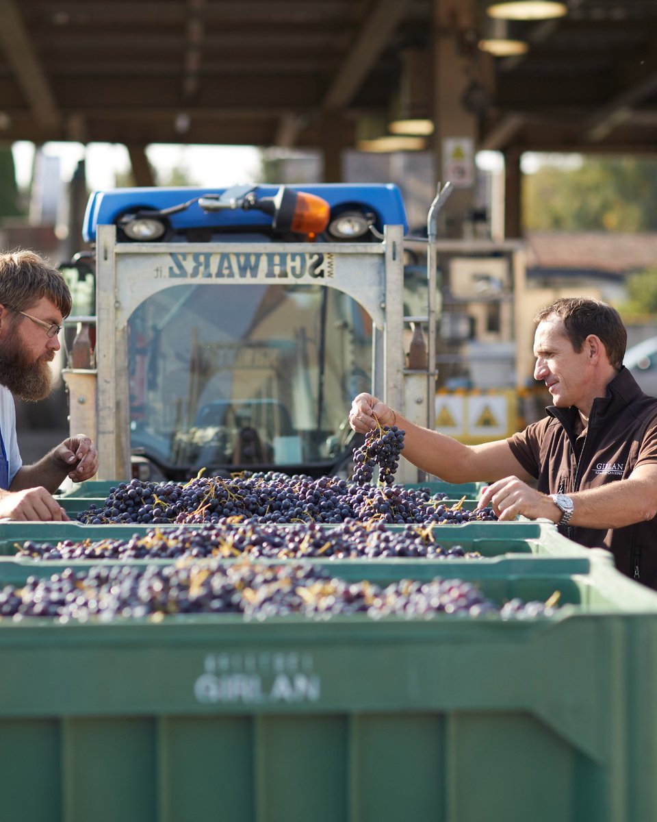 We’re raising a glass to Devin Parr for her thoughtful Forbes feature shining a light on Alto Adige and Cantina Girlan. 

It’s always exciting to see Chardonnay explored beyond the clichés, and Devin captures beautifully how mountain terroir tells a different story.

As Girlan’s