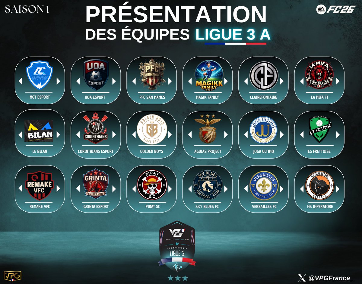 VPG France tweet media