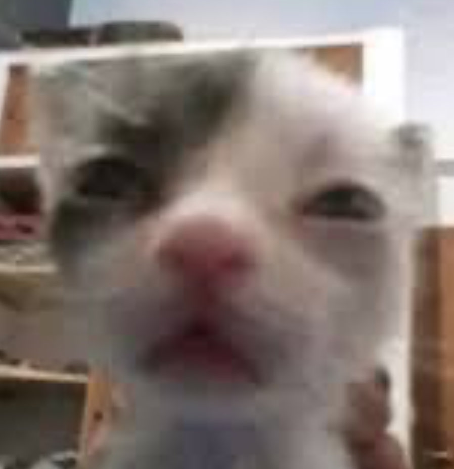 Hate to say it
But Lute‘s song in the second season of Hazbin Hotel got me kinda hyped for it