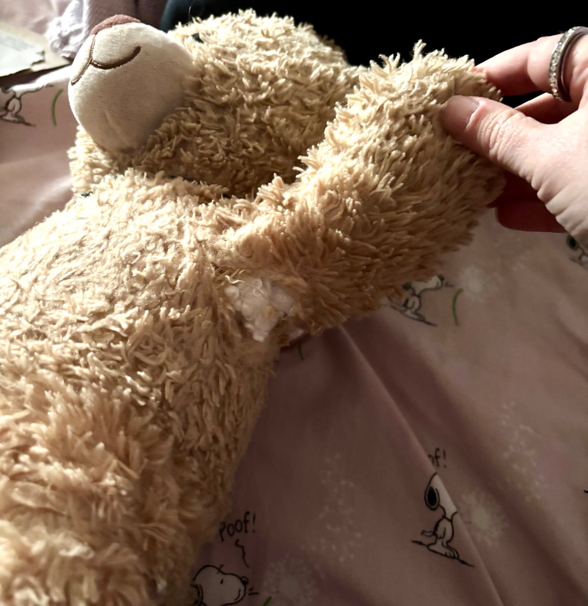 deanwbear79's tweet photo. I got a little boo-boo when I was away last weekend. But human fixed me up good as new! 
#barebear https://t.co/0NOMc5cBEy