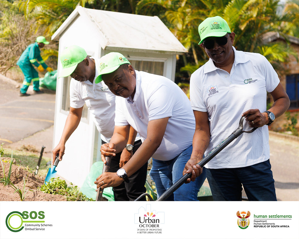CSOS_SA's tweet image. The day ends with a beautiful result! We’ve helped create an exciting and exhilarating oasis right here in their home. Thank you for the partnership that made this possible!
#CSOS #RemeberUrbanOctober #UrbanOctoberwithCSOS #PeopleCentered #SmartCities…