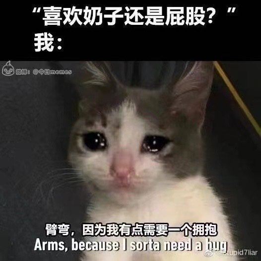 咪 tweet media