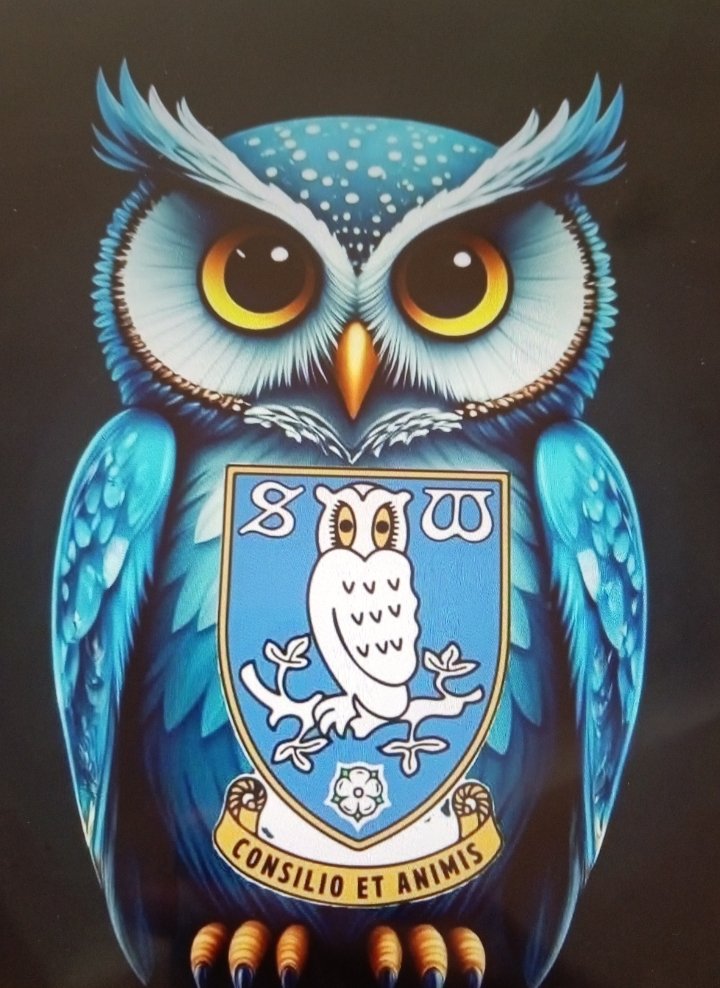 CarlosShires's tweet image. #swfc 🦉 #wawaw 💙 #wtid ⚽