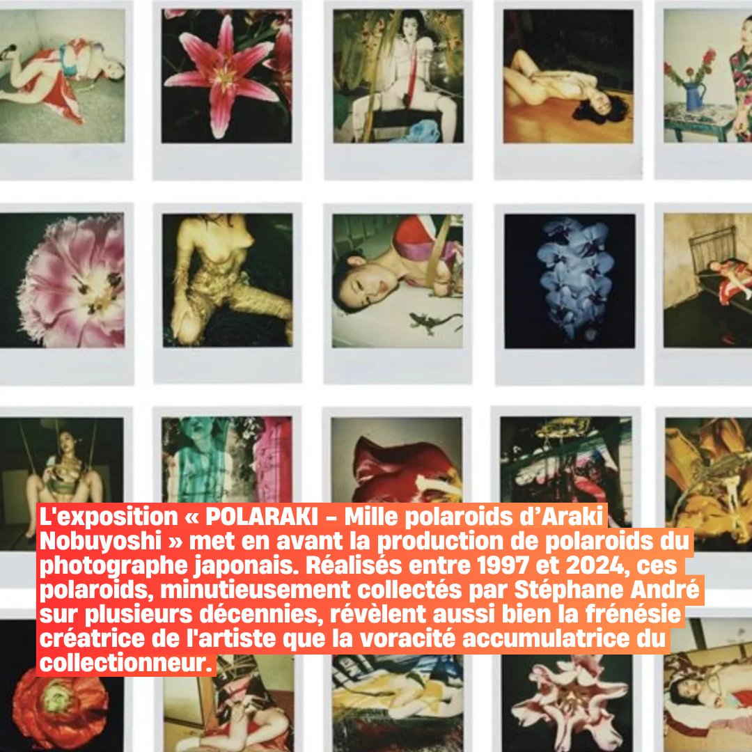 🖼Du 1er octobre 2025 au 12 janvier 2026, au <a href="/MuseeGuimet/">Musée Guimet</a>,  l'exposition « POLARAKI - Mille polaroids d’Araki Nobuyoshi » met à l'honneur le plus provocateur des photographes japonais. 📸

Mais qui est Araki Nobuyoshi ? ❤️‍🔥